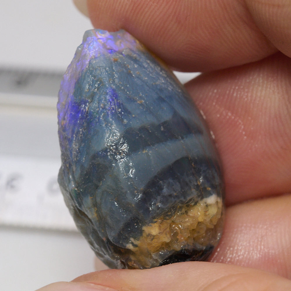 40.5 cts Australian Opal Rough Lightning Ridge Shell Fossil