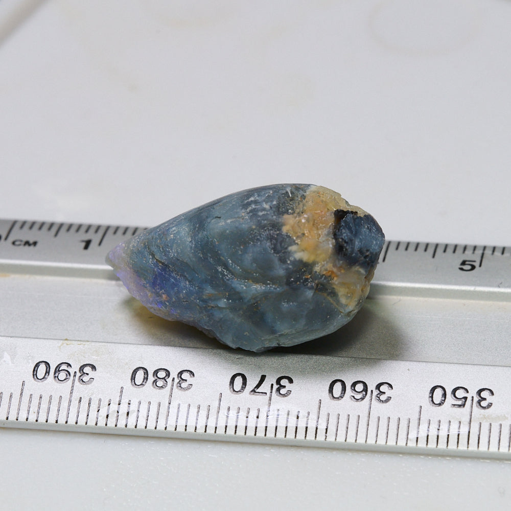 40.5 cts Australian Opal Rough Lightning Ridge Shell Fossil