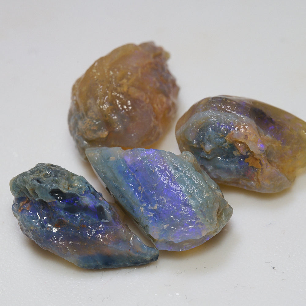 Lightning Ridge Rough Opal Parcel -Shell Fossils