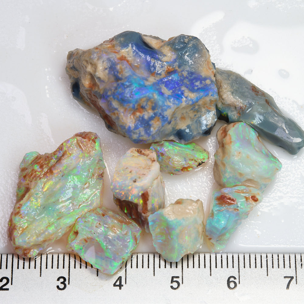 69.6 cts Lightning Ridge Rough Opal Parcel - Nobby