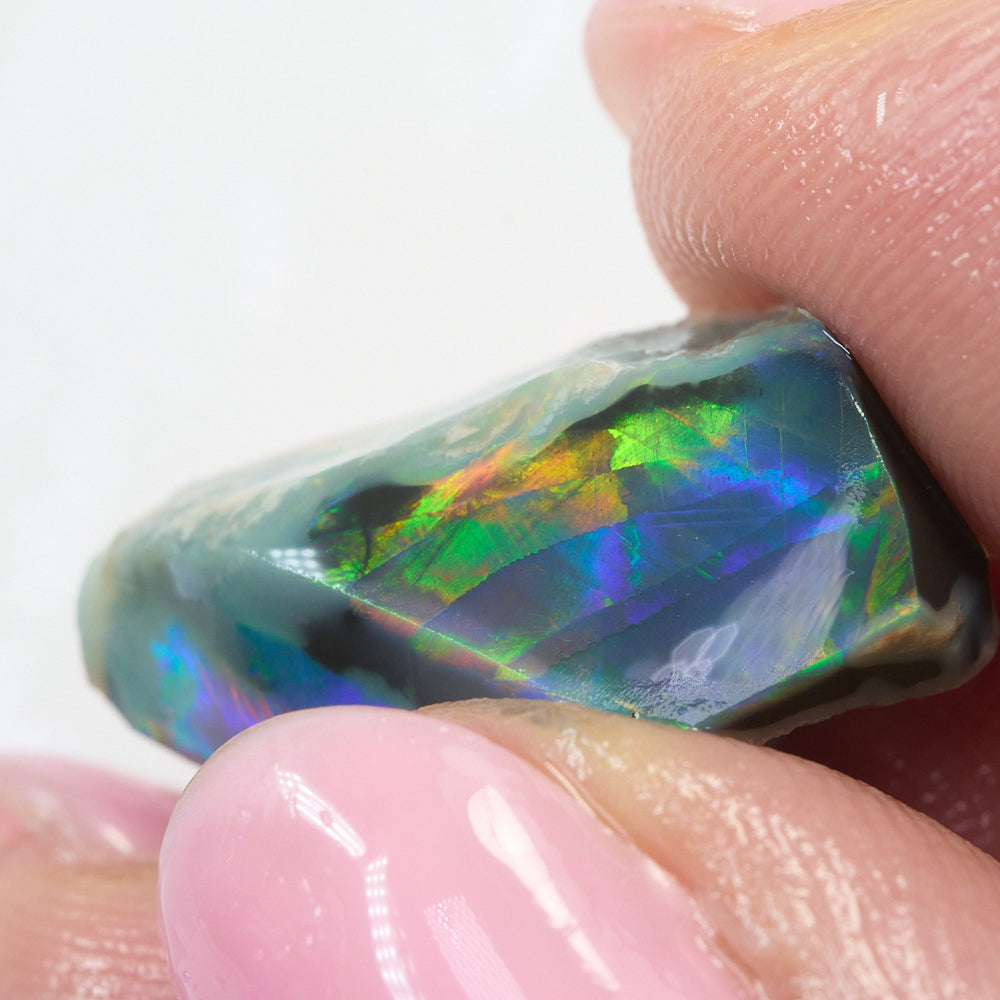 10.9 cts Rough Black Opal Lightning Ridge -Gem Nobby