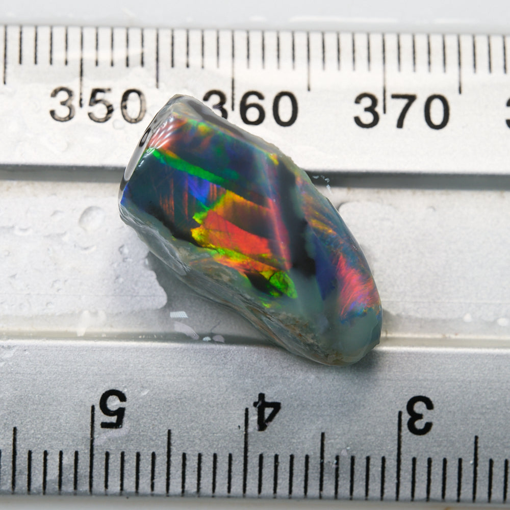  Rough Black Opal Lightning Ridge -Gem Nobby