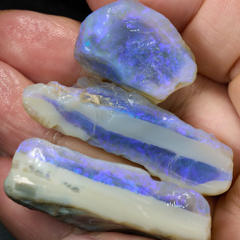 189 cts Rough Opal Lightning Ridge -Electric Purple x 5 Pcs