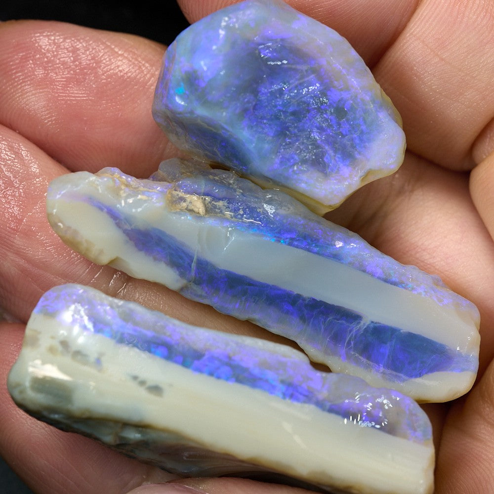 189 cts Rough Opal Lightning Ridge -Electric Purple x 5 Pcs