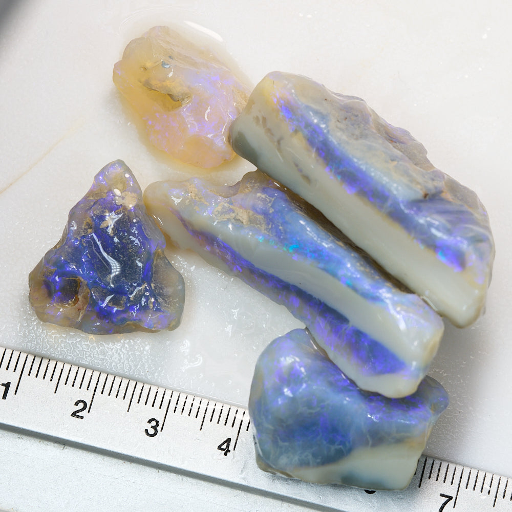 189 cts Rough Opal Lightning Ridge -Electric Purple x 5 Pcs
