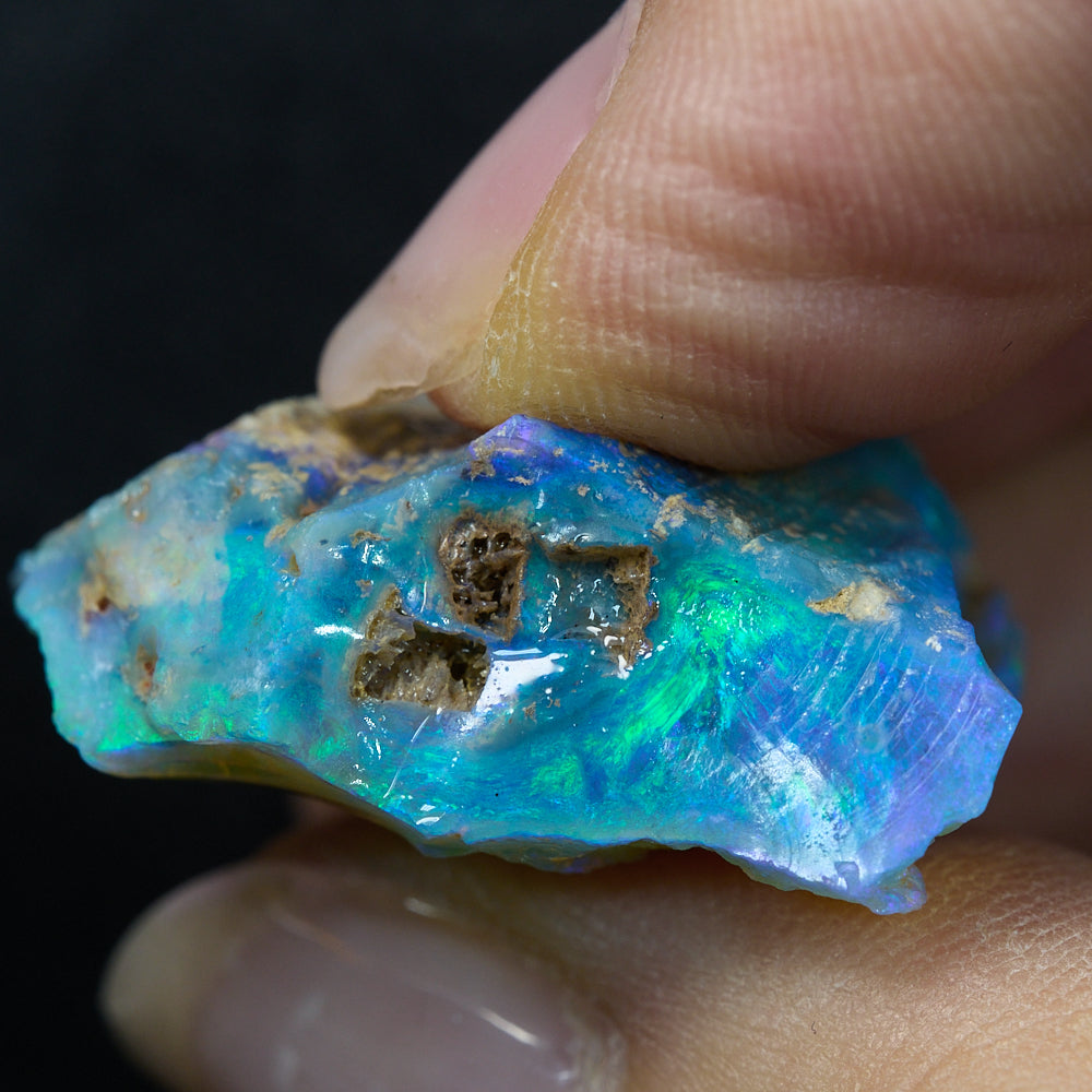 Australian Opal Rough Lightning Ridge Wood Fossil
