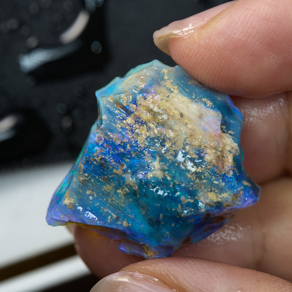 38.8 cts Australian Opal Rough Lightning Ridge Wood Fossil