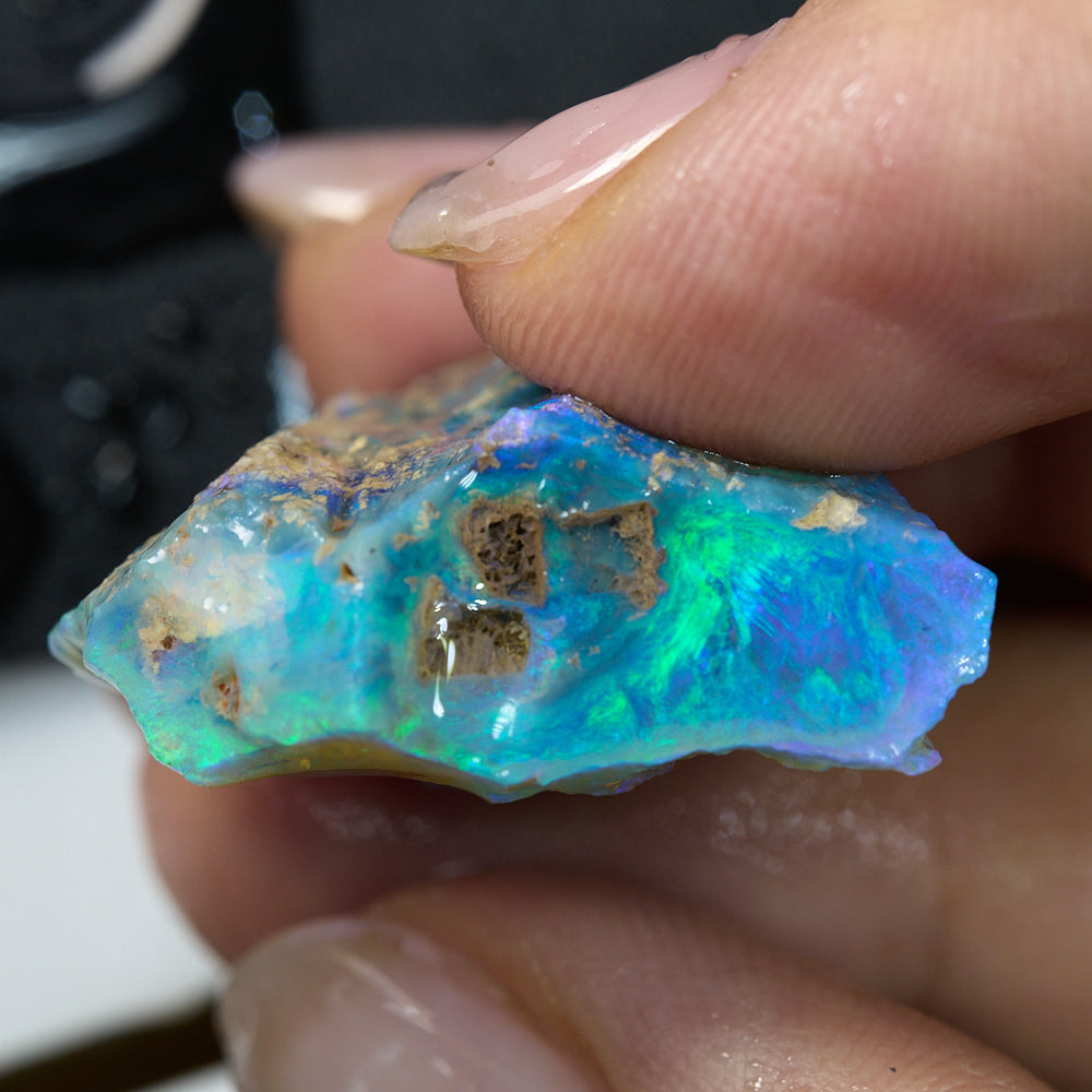 Australian Opal Rough Lightning Ridge Wood Fossil