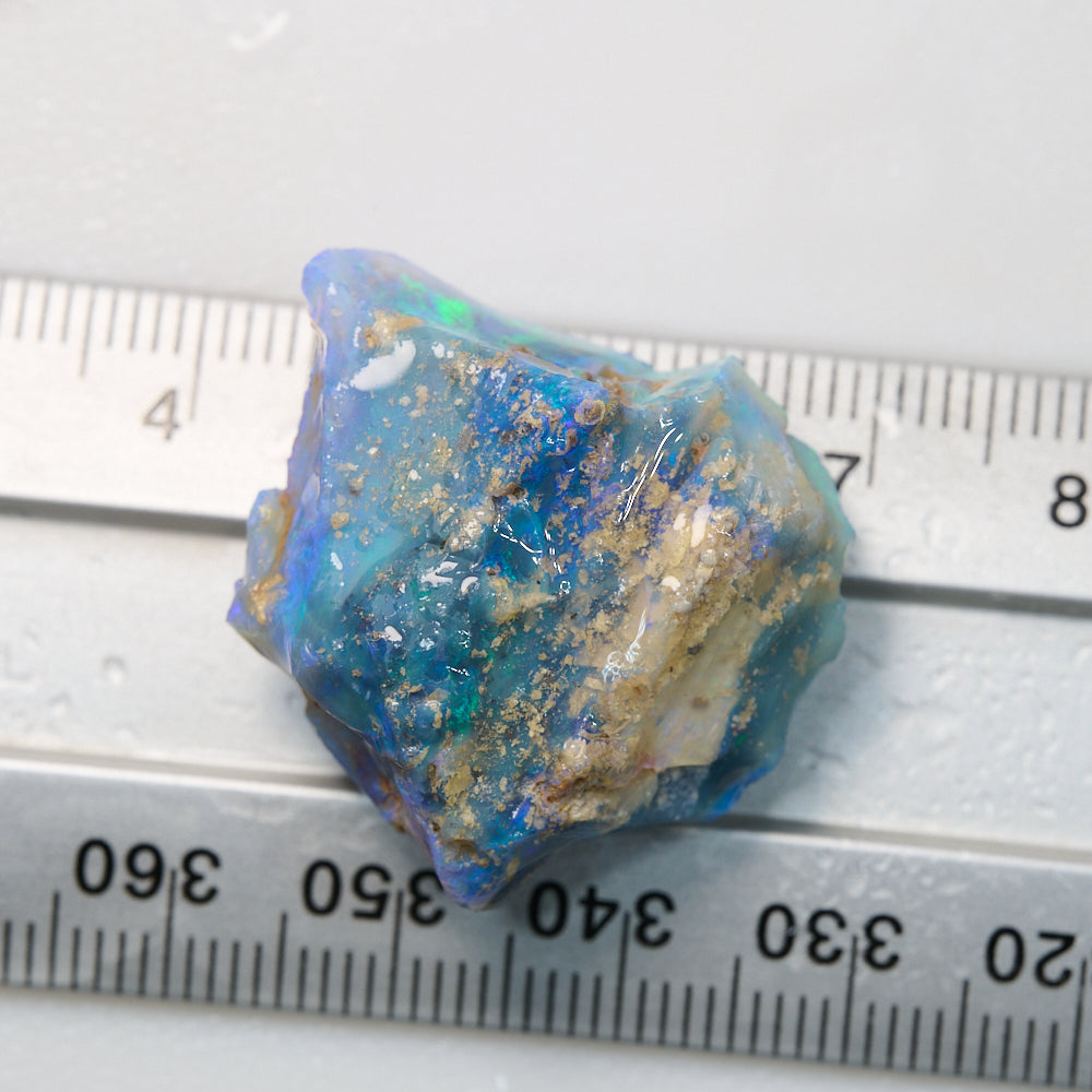 38.8 cts Australian Opal Rough Lightning Ridge Wood Fossil