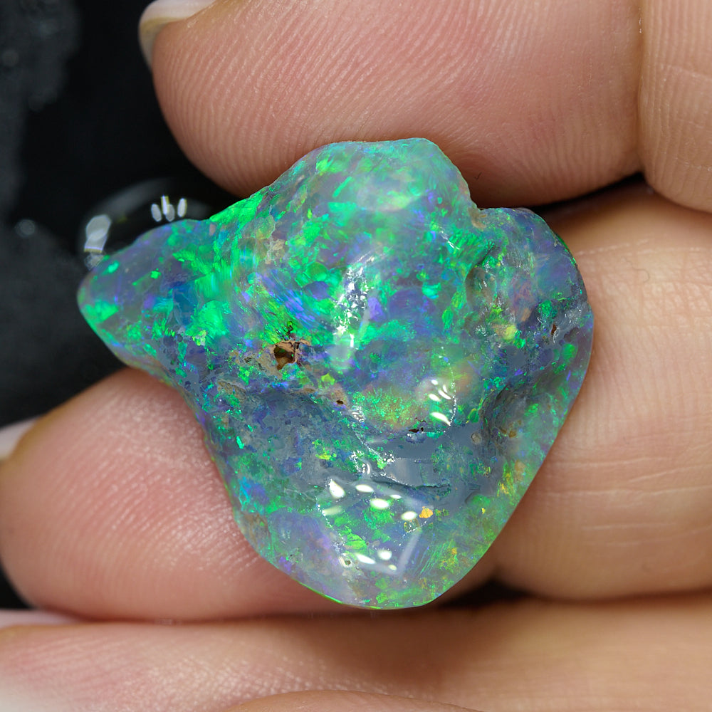 Rough Black Opal Lightning Ridge for Carving