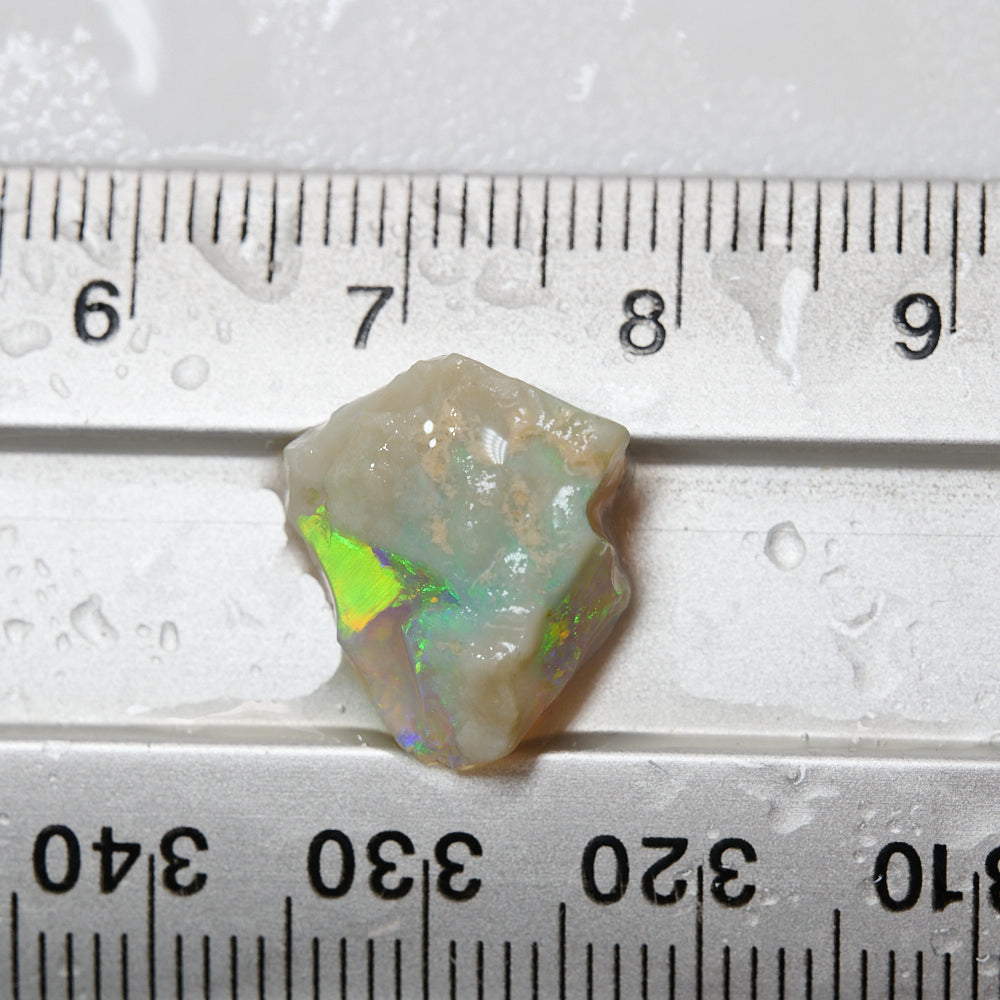 4.89 cts Rough Opal Lightning Ridge- Selected