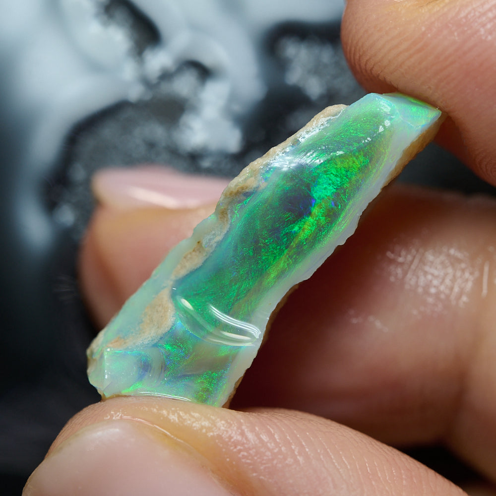 Rough black opal Lightning Ridge showing blue green fire natural stone