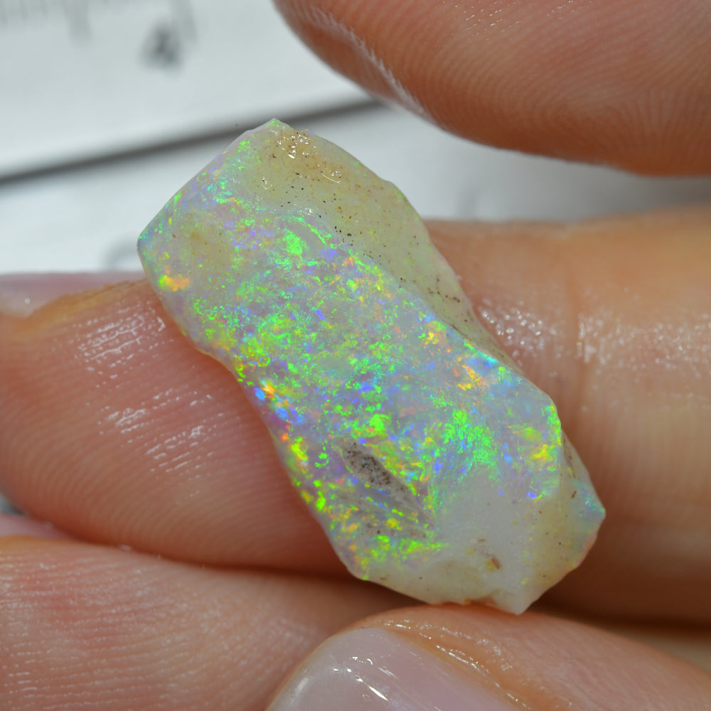 Rough Opal South Australian -Rubbed