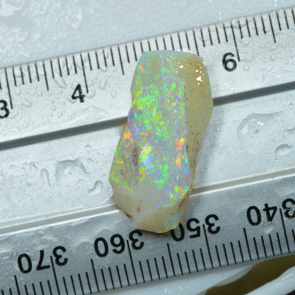 Rough Opal South Australian -Rubbed