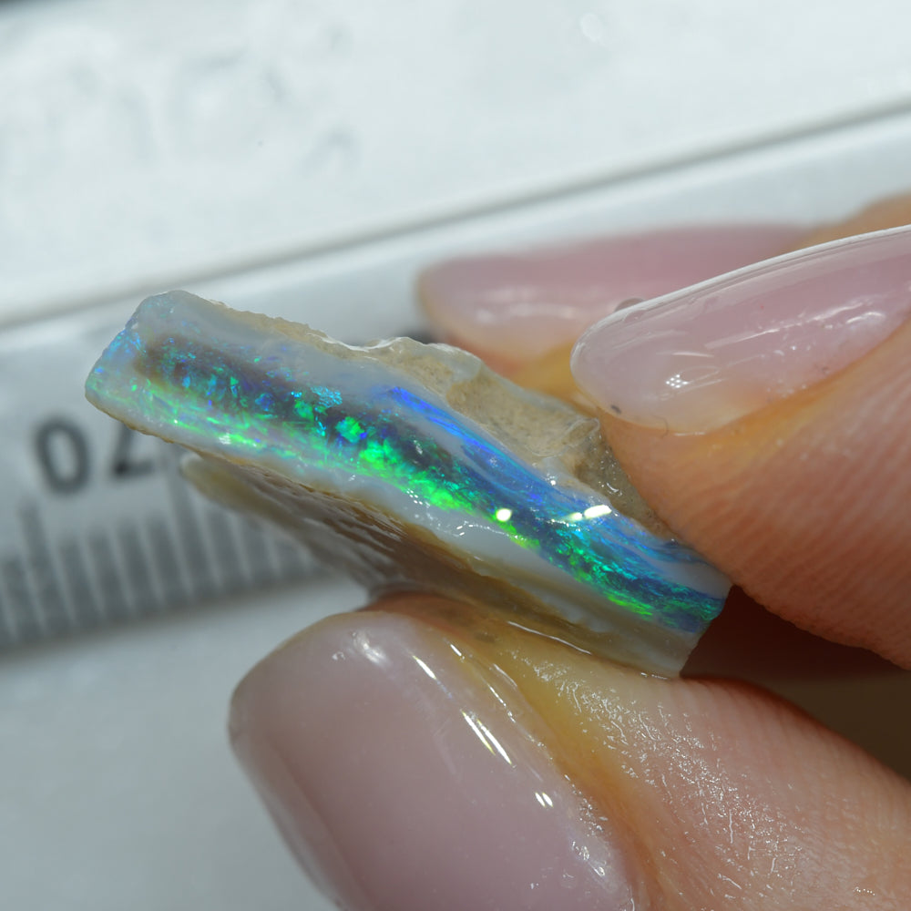 Rough Opal Parcel South Australia – natural investment opals for cutting, collecting, and value growth