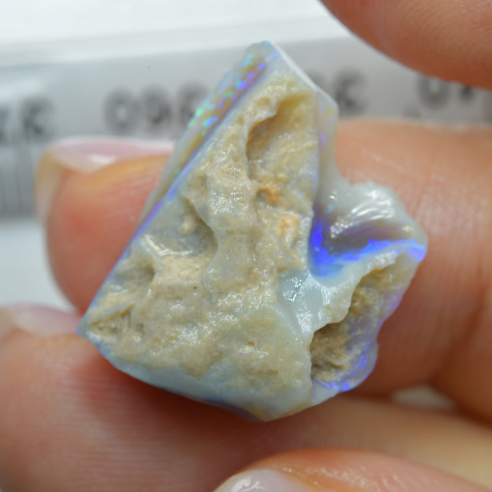 11.5 cts Rough Opal Lightning Ridge- Selected