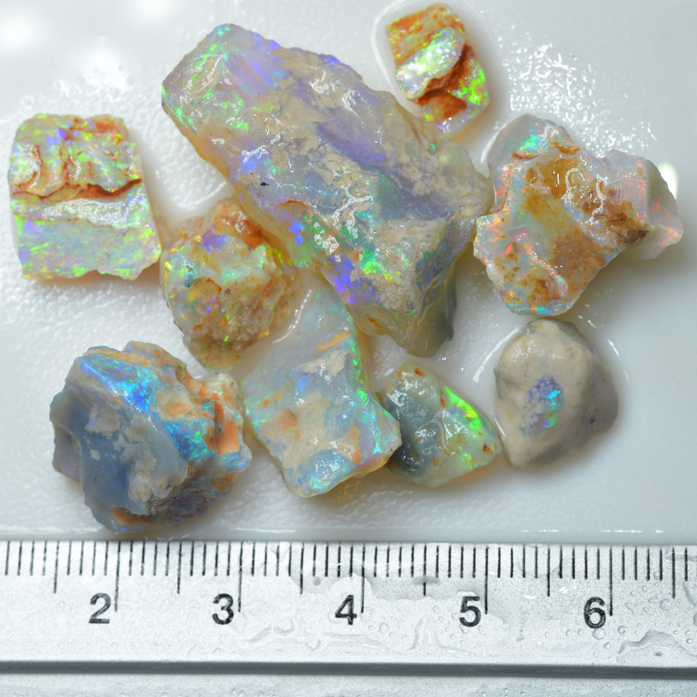 65.6 cts Lightning Ridge Rough Opal Parcel - Nobby