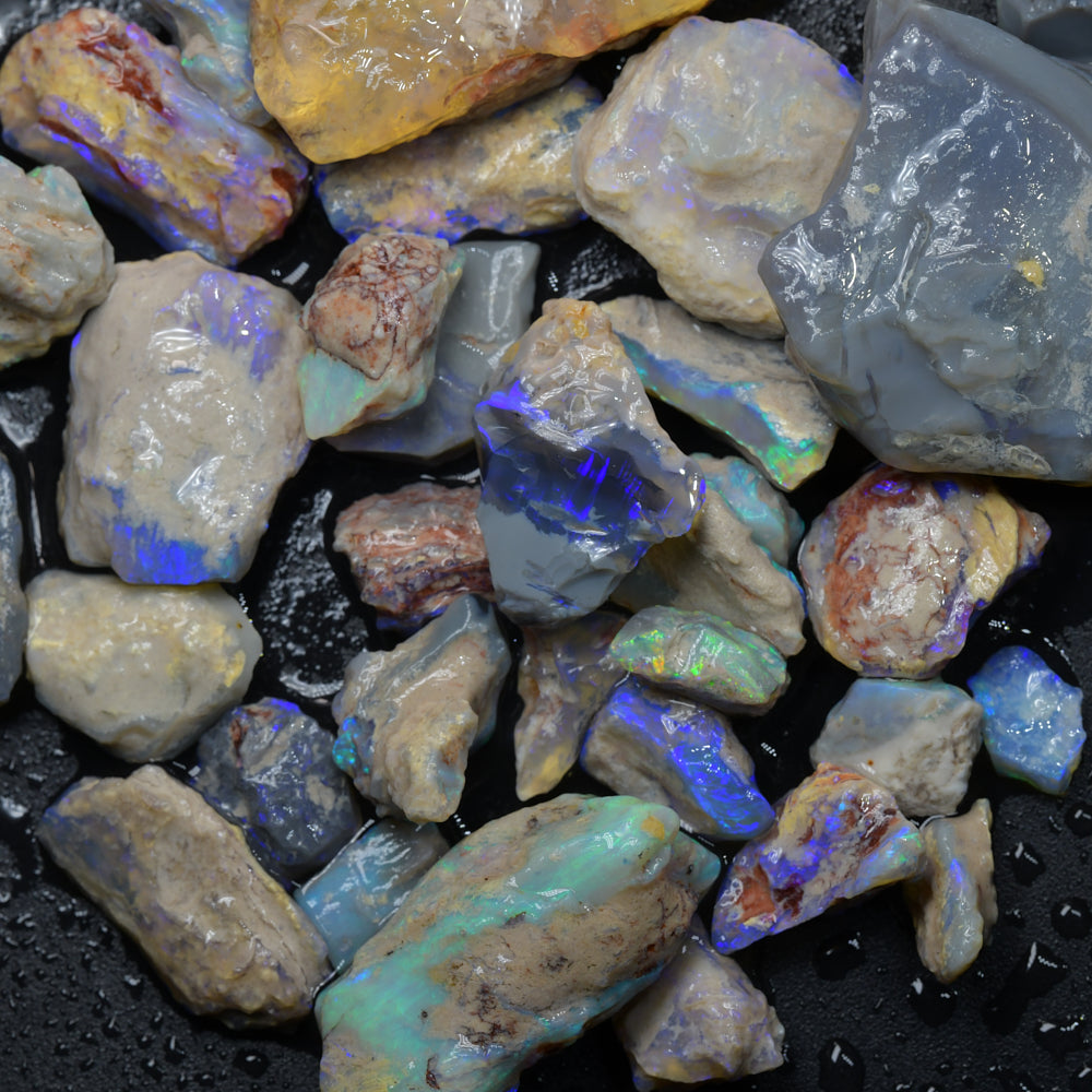Rough Opal Lightning Ridge -Fossils