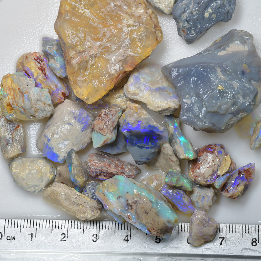 321 cts Rough Opal Lightning Ridge -Fossils