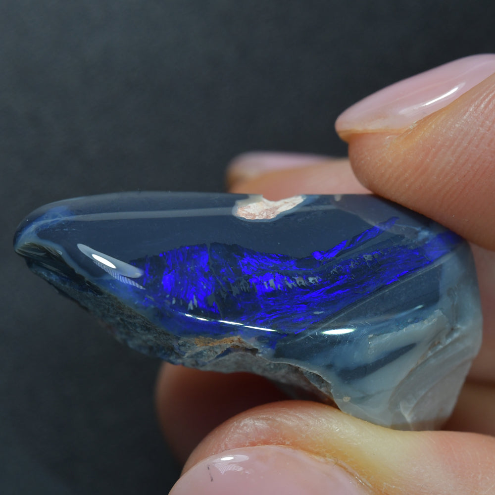 Collector grade rough opal specimen from Lightning Ridge