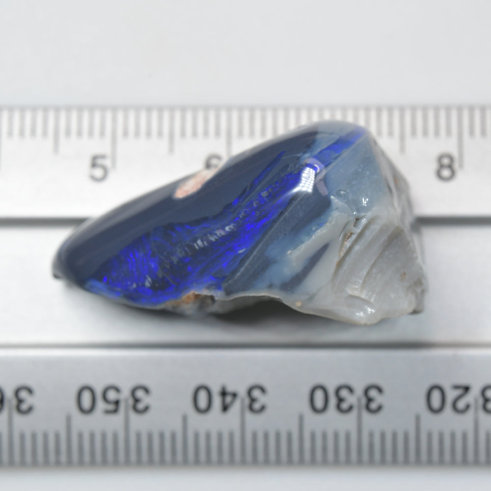 40 cts Opal Rough Lightning Ridge Specimen