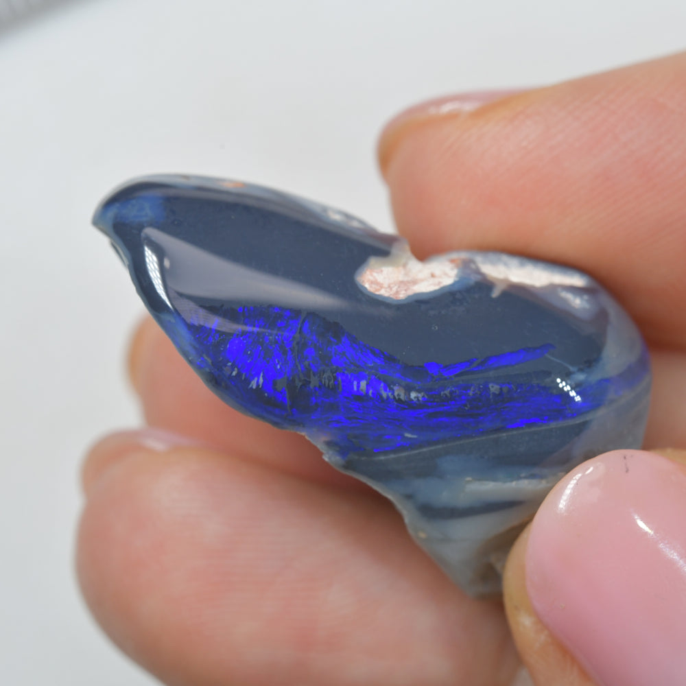 Natural opal rough specimen from Lightning Ridge Australia