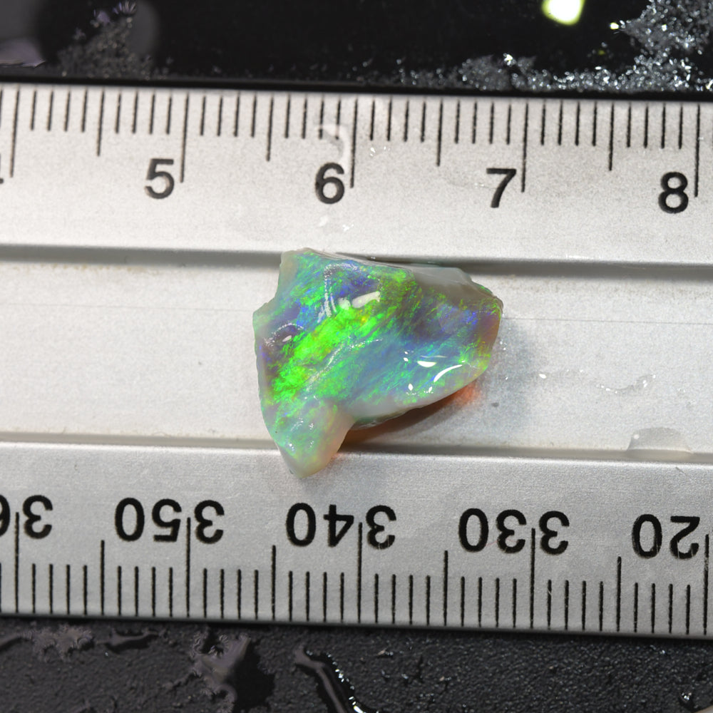 5.7 cts Rough Opal Lightning Ridge- Selected