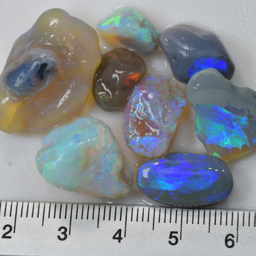 62.20 cts Lightning Ridge Rough Opal Parcel - Nobby