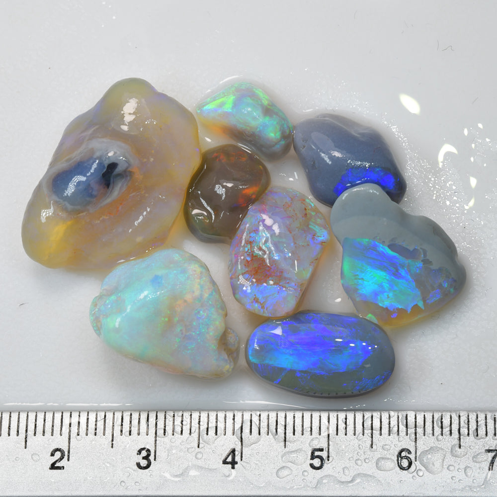 62.20 cts Lightning Ridge Rough Opal Parcel - Nobby