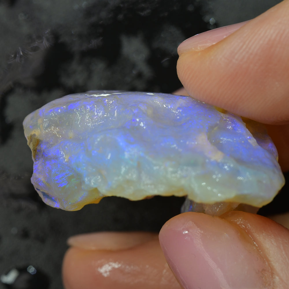 64 cts Rough Opal Lightning Ridge