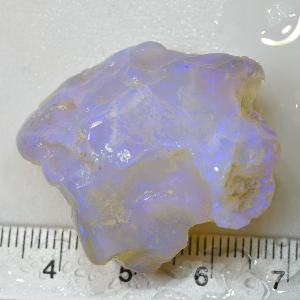 64 cts Rough Opal Lightning Ridge
