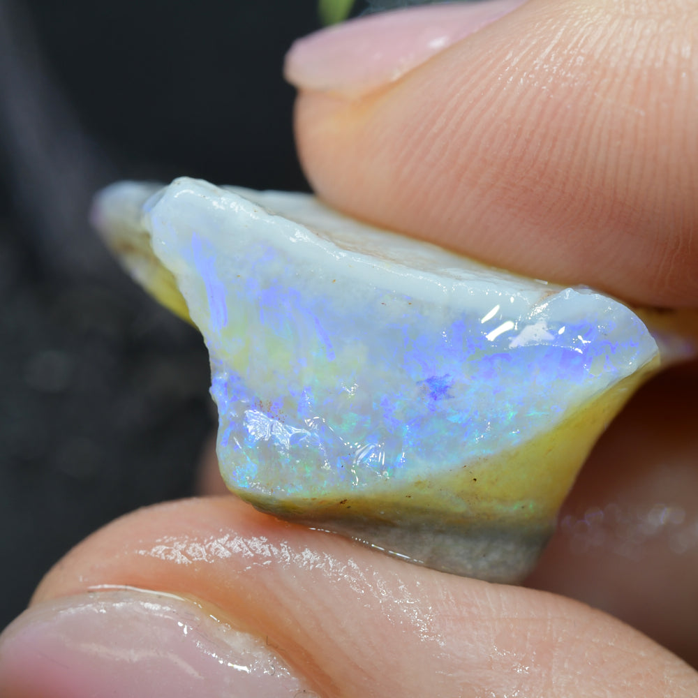 37.7 cts Rough Opal South Australian - Carving