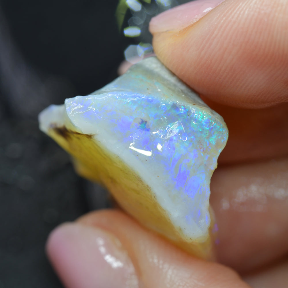 Rough Opal South Australian - Carving
