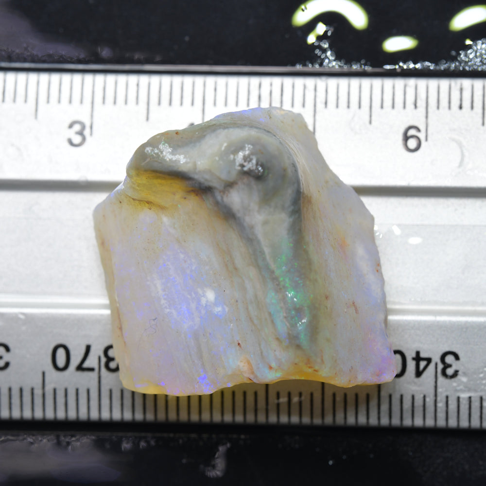 37.7 cts Rough Opal South Australian - Carving