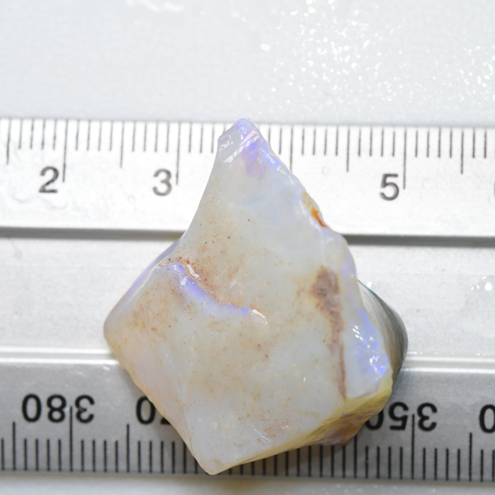 37.7 cts Rough Opal South Australian - Carving