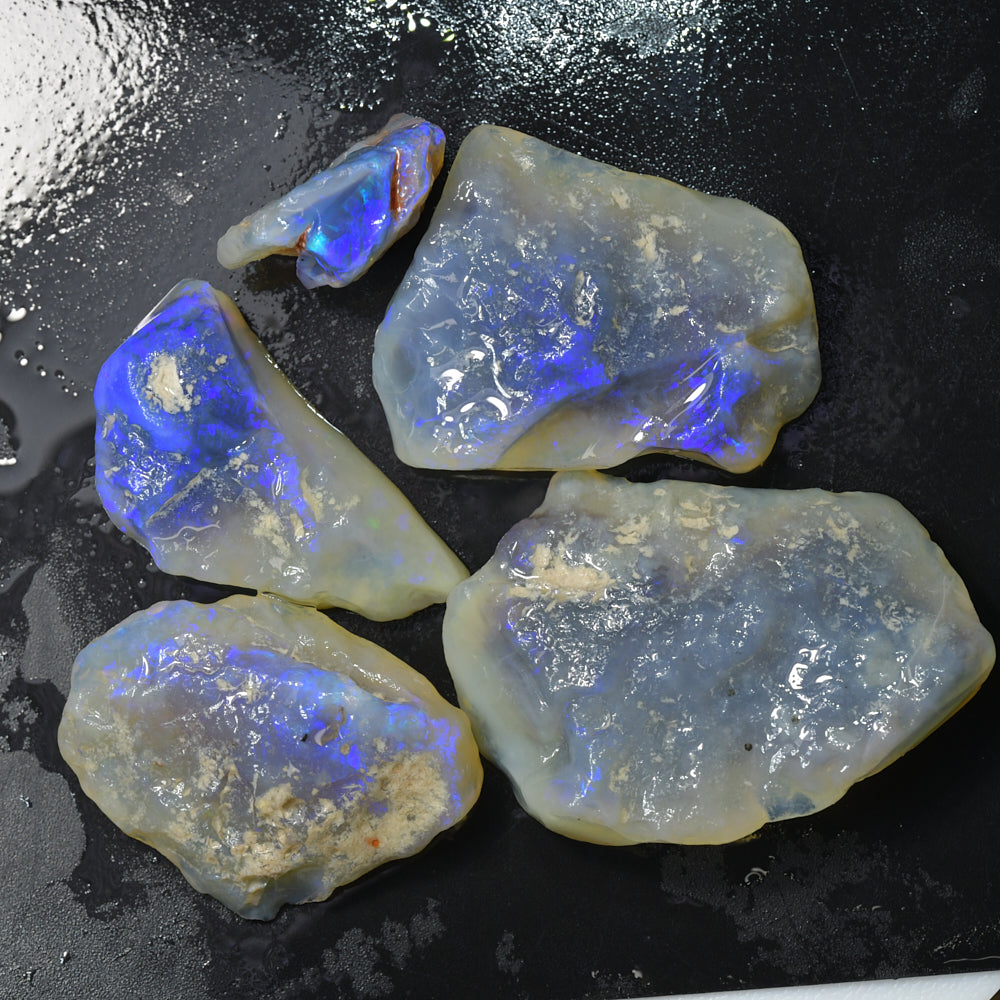 275 cts Lightning Ridge Rough Opal Parcel