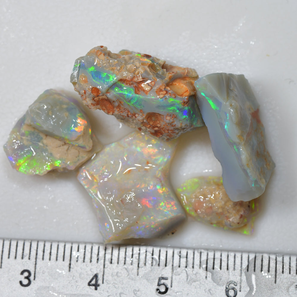 32.0 cts Lightning Ridge Rough Opal Parcel