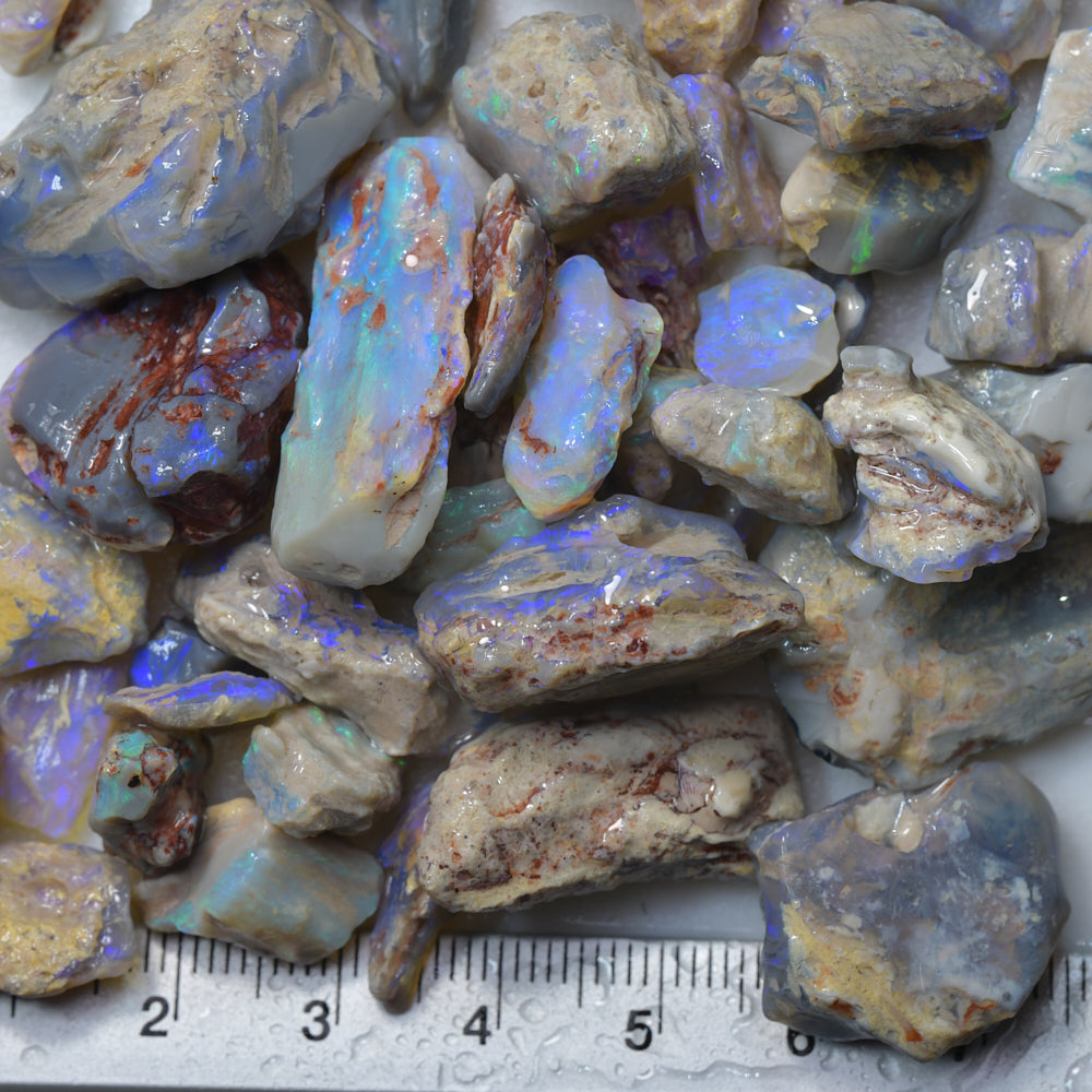 350 cts Rough Opal Lightning Ridge -Fossils