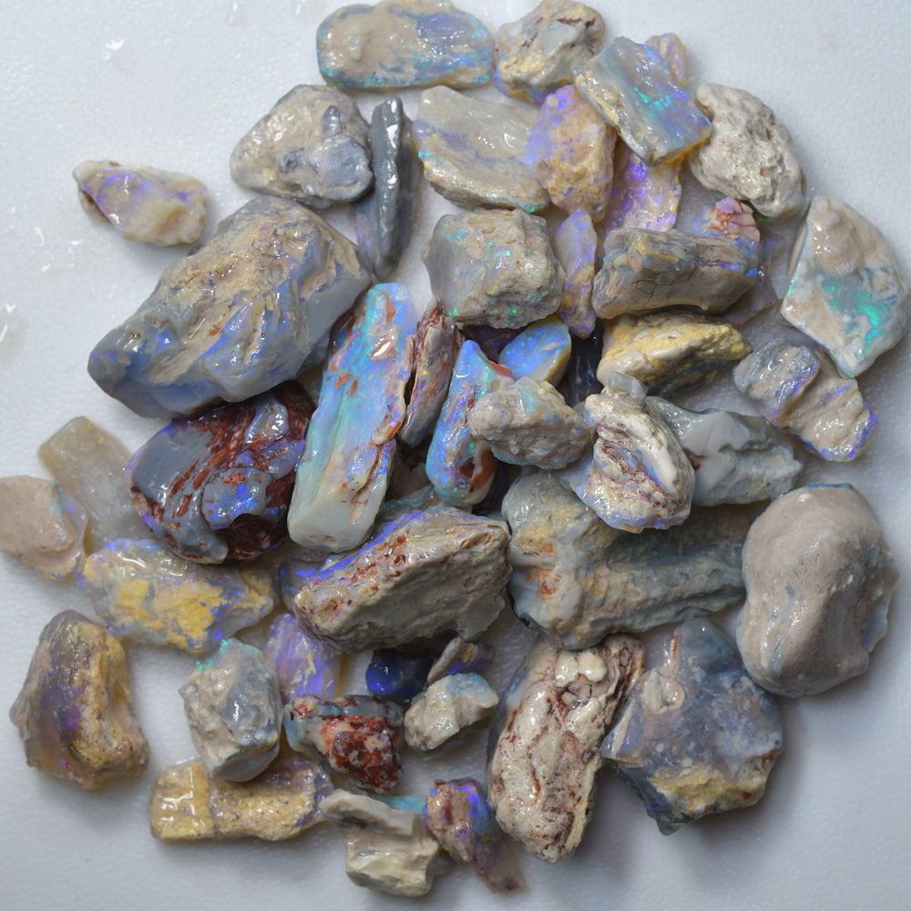 350 cts Rough Opal Lightning Ridge -Fossils