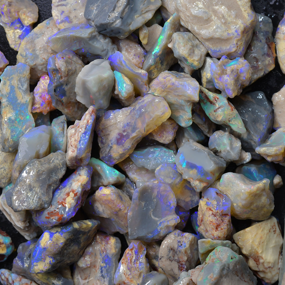 Rough Opal Lightning Ridge -Fossils