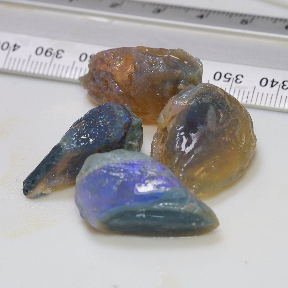 119 cts  Lightning Ridge Rough Opal Parcel -Shell Fossils