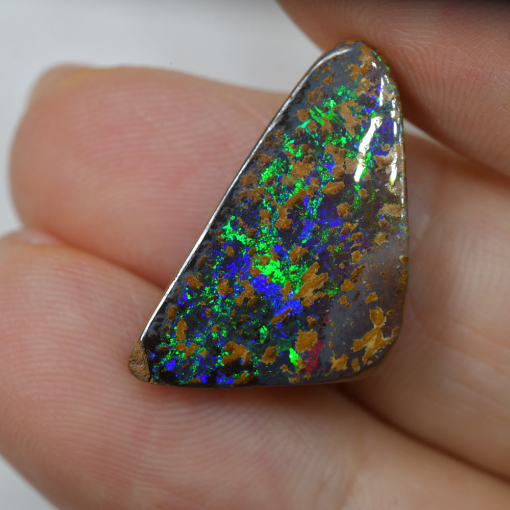 13.09 cts Boulder Opal Cut Stone