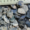 A 800 Cts Potch Opal Rough Parcel L/Ridge Beginner 160 G