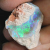Australian Lightning Ridge Opal Rough 22.7 Cts
