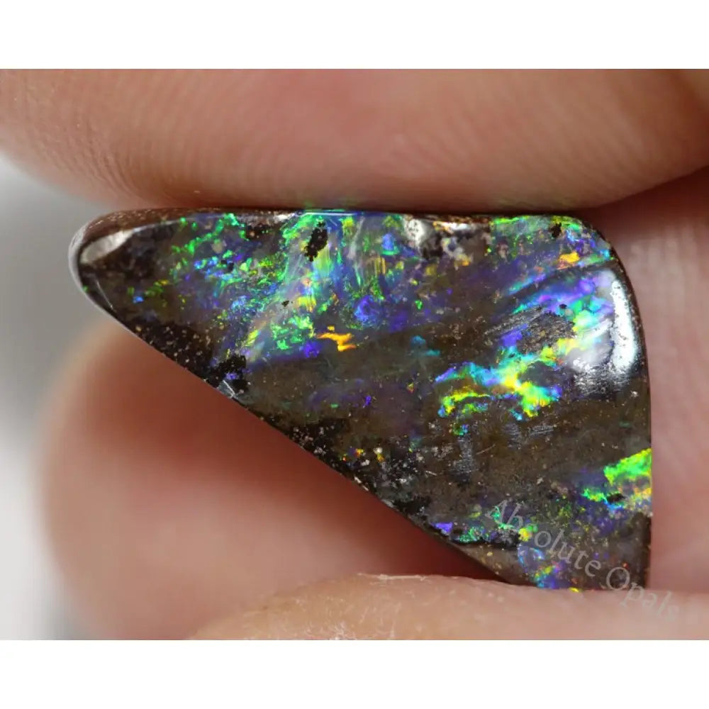 Natural Australian Boulder Opal Solid Cut Stone 5.29 Cts Vid Boulder Opal