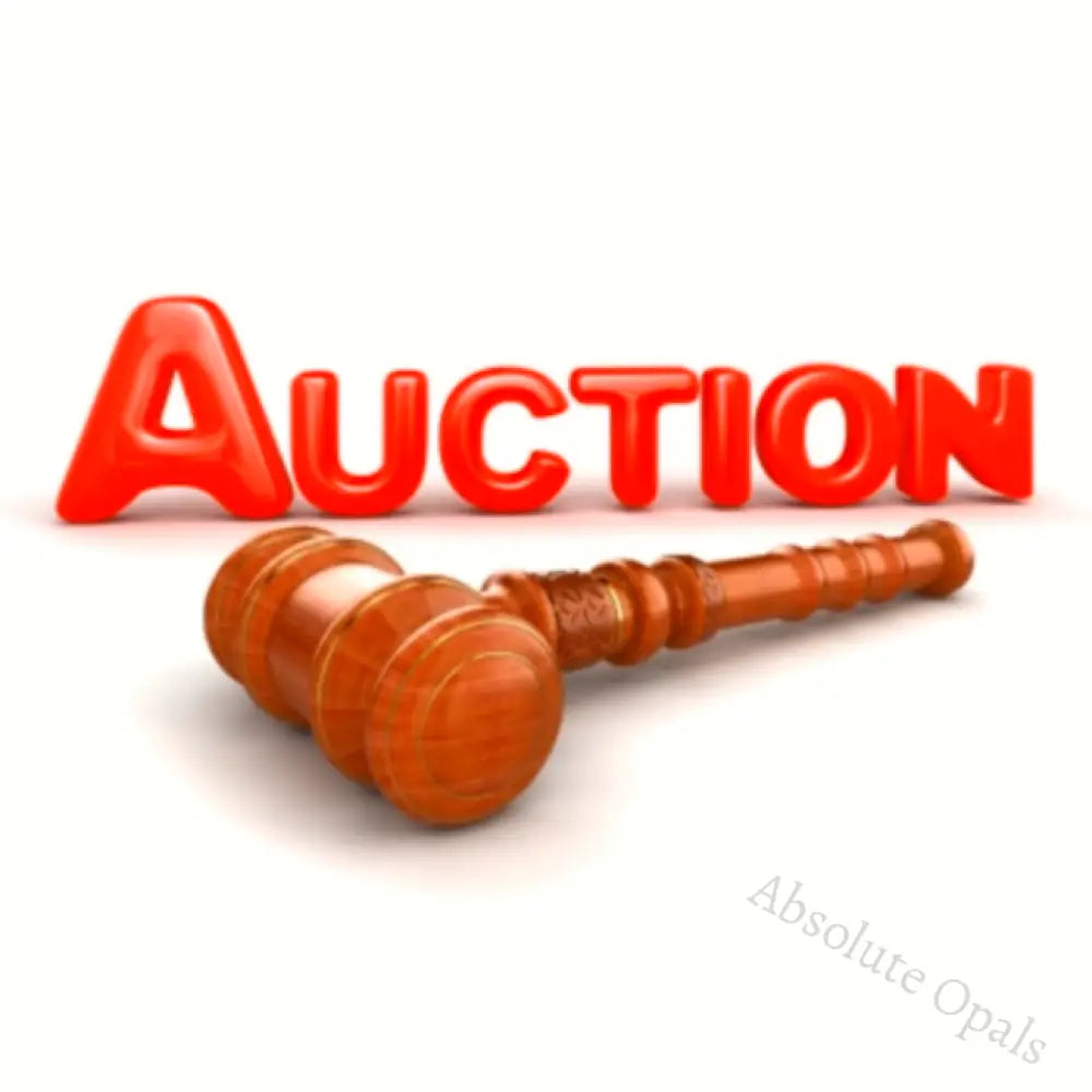 Shopify Auction Aaaa Ccc-736309-478573