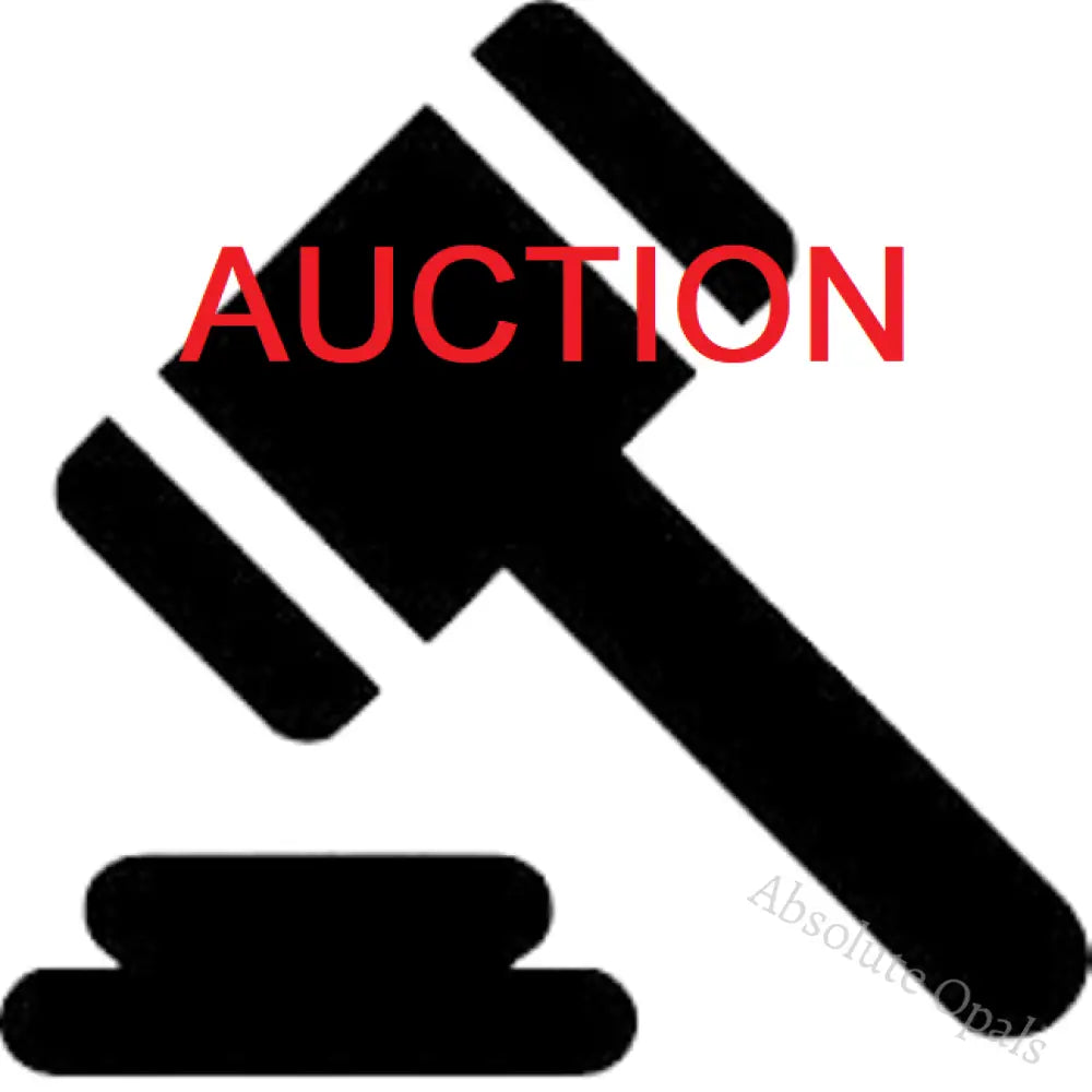 Shopify Auction Aaaa Xyzzzzxxx-962914-671156