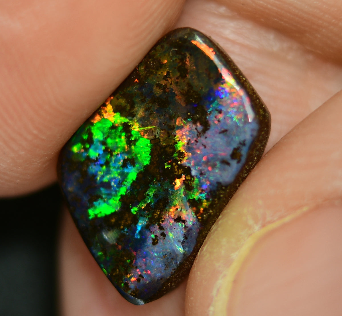 5.38 cts Australian Boulder Opal, Cut  Stone
