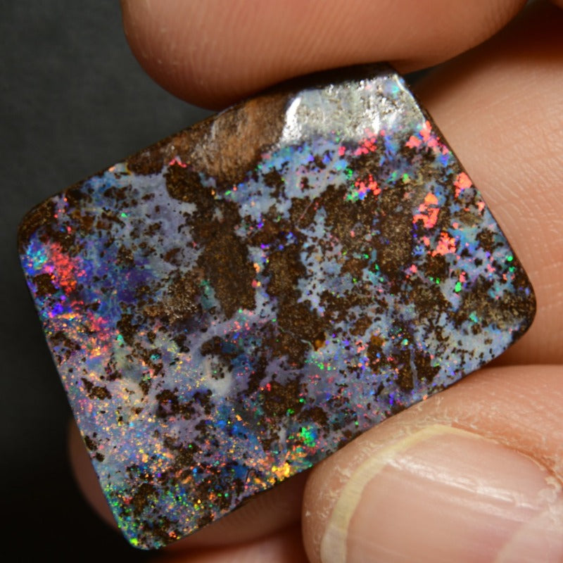 24.5 cts Australian Boulder Opal, Cut Stone