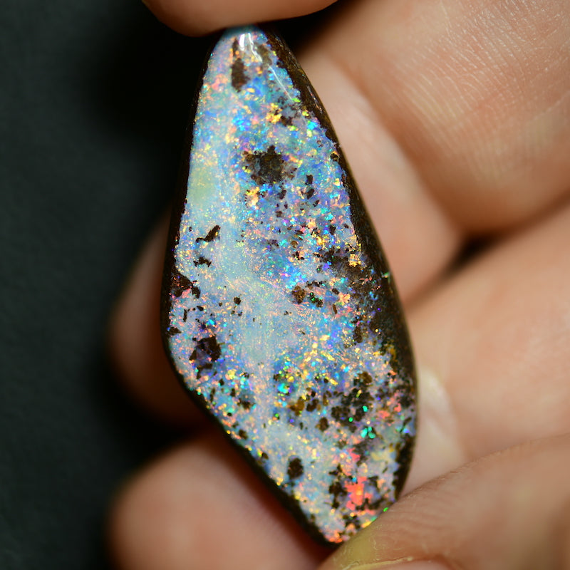 18.8 cts Australian Boulder Opal, Cut Stone